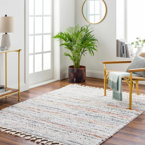Donda Area Rug - Clearance Discount