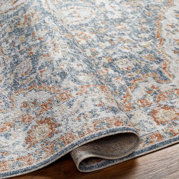 Agot Washable Area Rug - Clearance For Cheap - Image 5