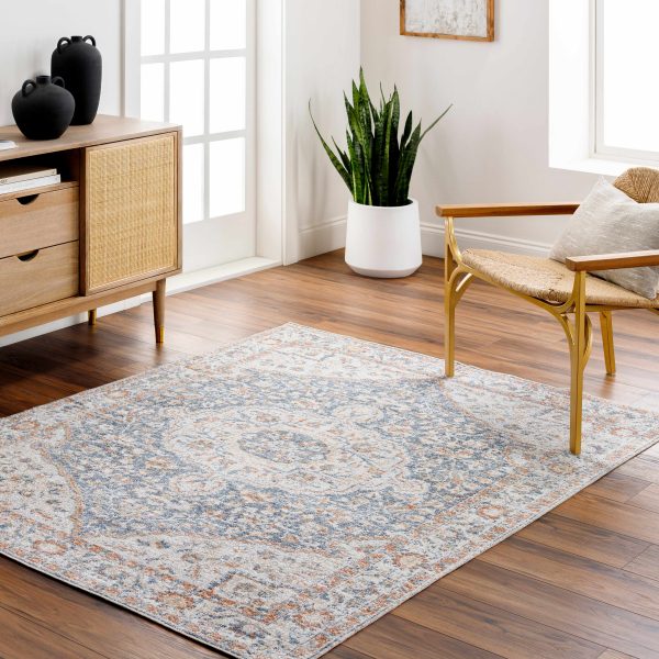Agot Washable Area Rug - Clearance For Cheap