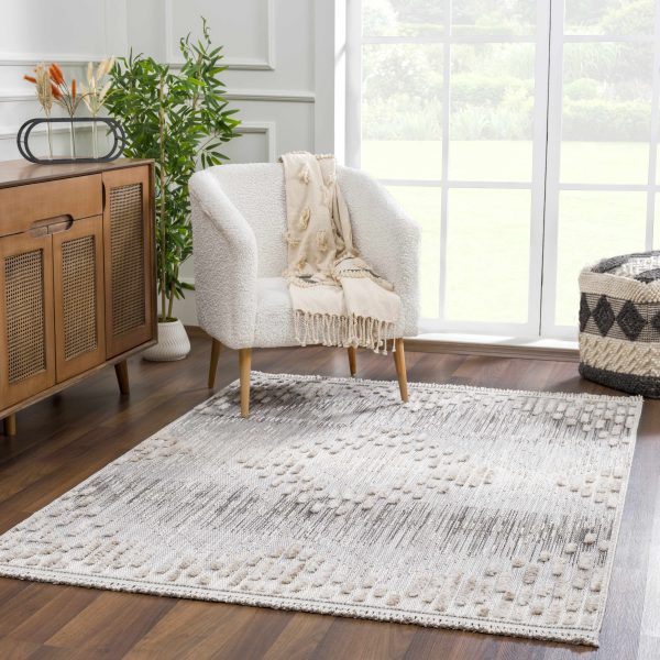 Poydras High-Low Rustic Rug For Sale