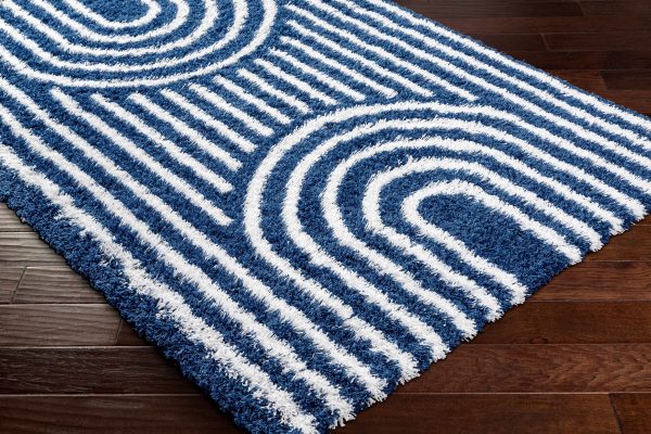 Libe Shag Area Rug - Clearance on Sale - Image 5