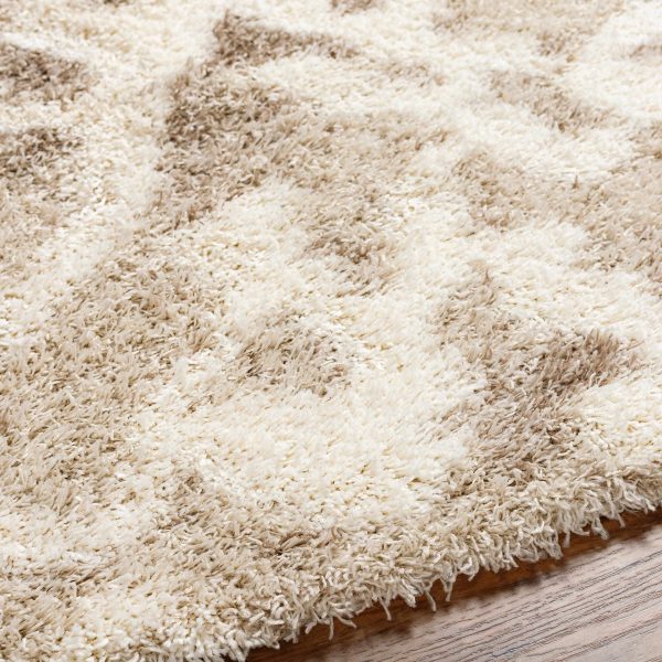 Jase Shag Area Rug Online Sale - Image 3