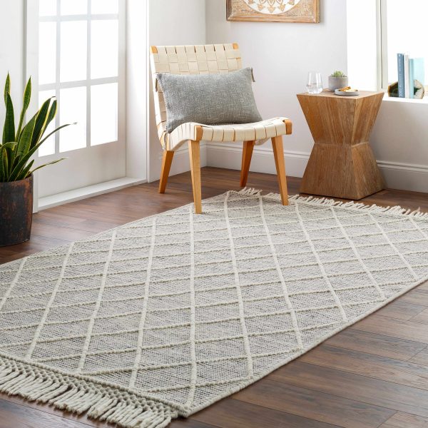 Ezria Area Rug - Clearance Discount - Image 3