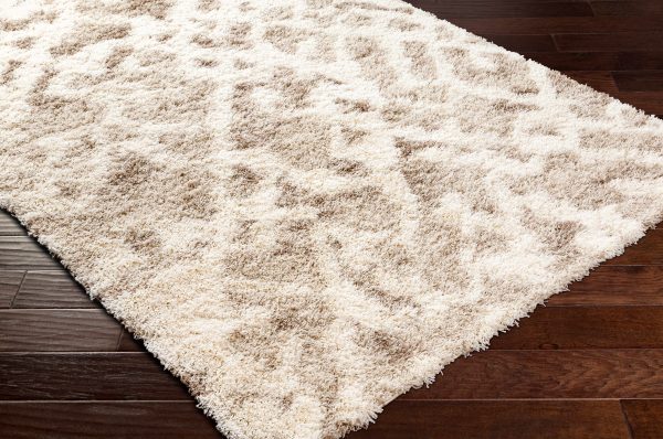 Jase Shag Area Rug Online Sale - Image 5