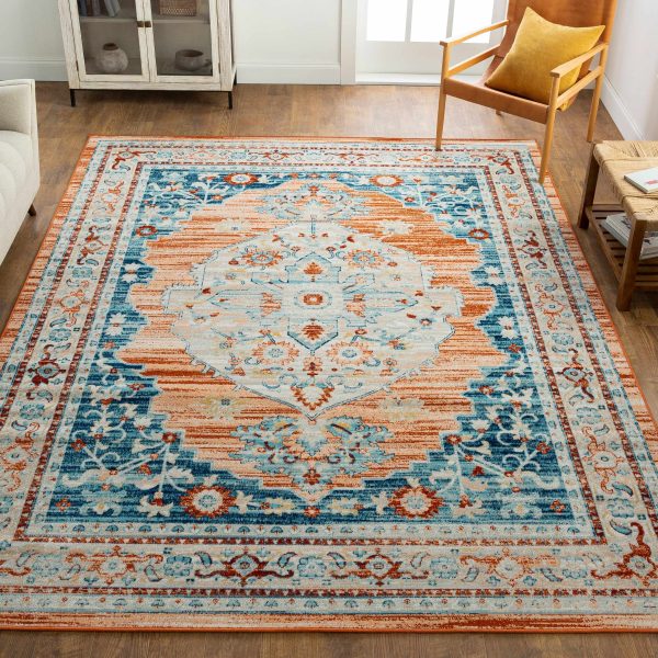 Agos Indoor & Outdoor Rug - Clearance Sale - Image 2