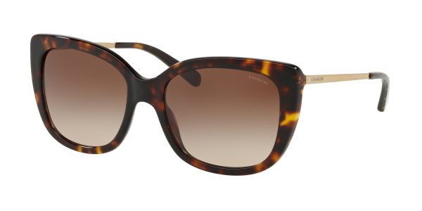 Coach L1040 HC8246 Square Sunglasses Online now - Image 3