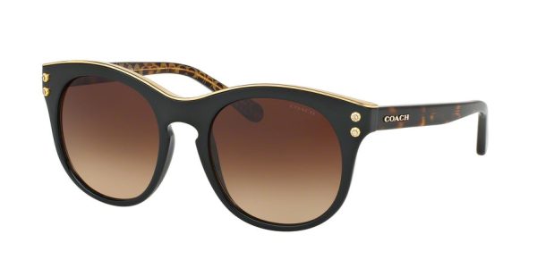 Coach L1611 HC8190 Phantos Sunglasses For Sale