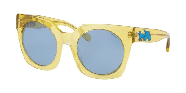 Coach L1048 HC8250F Irregular Sunglasses For Discount - Image 3