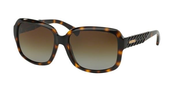 Coach HC8141 Square Sunglasses Online - Image 2
