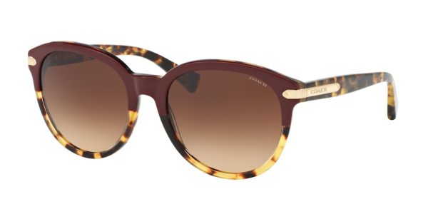 Coach L111 HC8140 Phantos Sunglasses For Cheap - Image 3